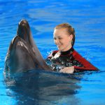 Тур в Ярославль с обзорной экскурсией и посещением дельфинария